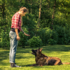 Illustration : "Comment choisir un éducateur canin ou un comportementaliste félin ?"