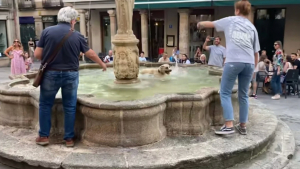 Illustration : "Une chienne profite de l'inattention de son adoptante pour piquer une tête dans une fontaine publique, sous le regard amusé des passants (vidéo)"