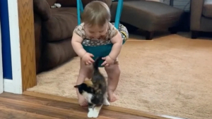 Illustration : "Ce bébé a eu la meilleure des réactions en voyant son chaton pour la première fois (vidéo)"