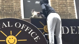 Illustration : "Alors qu'elle pensait secourir un seul chat, cette association en découvre 33 autres dans un appartement délabré (vidéo)"