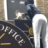 Illustration : "Alors qu'elle pensait secourir un seul chat, cette association en découvre 33 autres dans un appartement délabré (vidéo)"