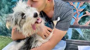 Illustration : "Cet homme accompagne une amie dans un centre d’accueil pour animaux et repart avec un chien (vidéo)"